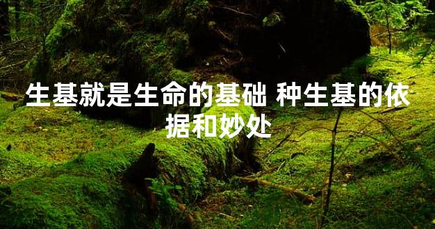 生基就是生命的基础 种生基的依据和妙处